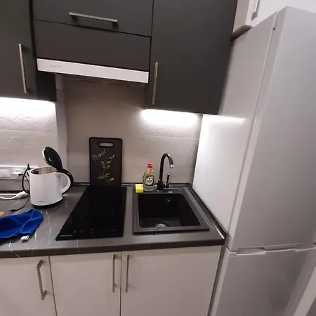 Apartman сучасний стиль і комфорт в центрі львова Lviv