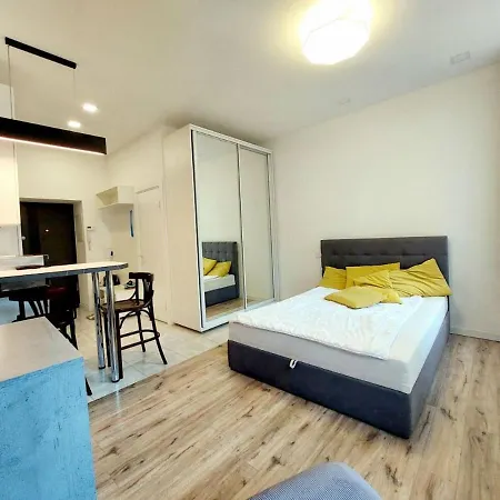 сучасний стиль і комфорт в центрі львова Apartman *