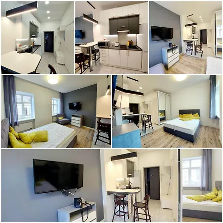сучасний стиль і комфорт в центрі львова Apartman *