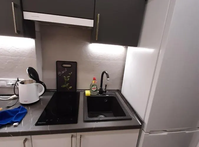 Apartment сучасний стиль і комфорт в центрі львова, Smart-tv Lviv